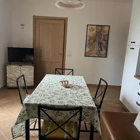 Camelia Appartement *